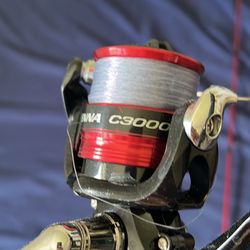 Shimano And Ugly Stick Combo