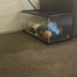 Fish Tank