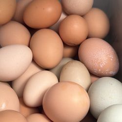 Organic Eggs 