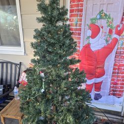 Christmas Tree Looking For New Home 