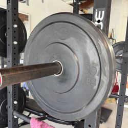 2 × 35 lb Rubber Bumper Plates (Olympic)