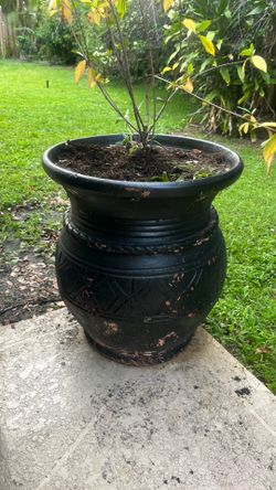 Large 2 feet + tall vase