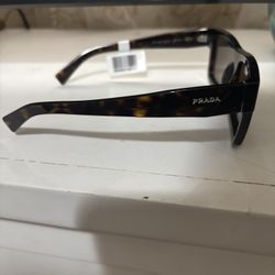  Prada Tortoise Brown Men 