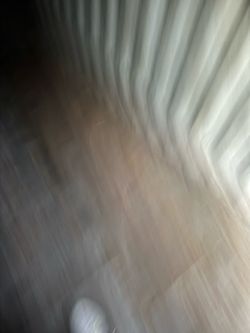 New and Used 20’ & 40’ Shipping Containers - NO MONEY DUE until delivery!