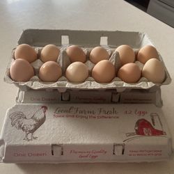 Organic Eggs