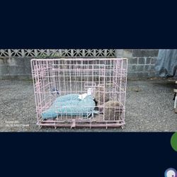 Precision Pet "ProValu," Double Door Dog Crate Pink
