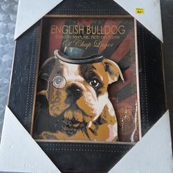 English Bulldog Pic