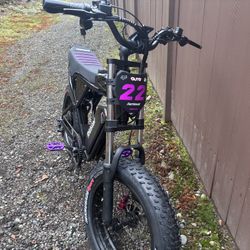 Ridstar Q20 1500 Watt E-Bike