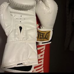 Everlast Punching Bag