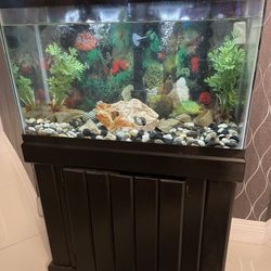 Aquarium 25 Gallon