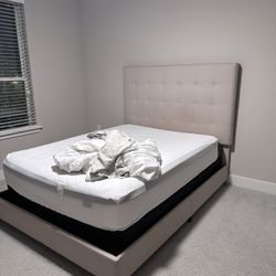 Bed Frame And Mattress With Box Spring 150.00