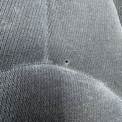 Rear Seat