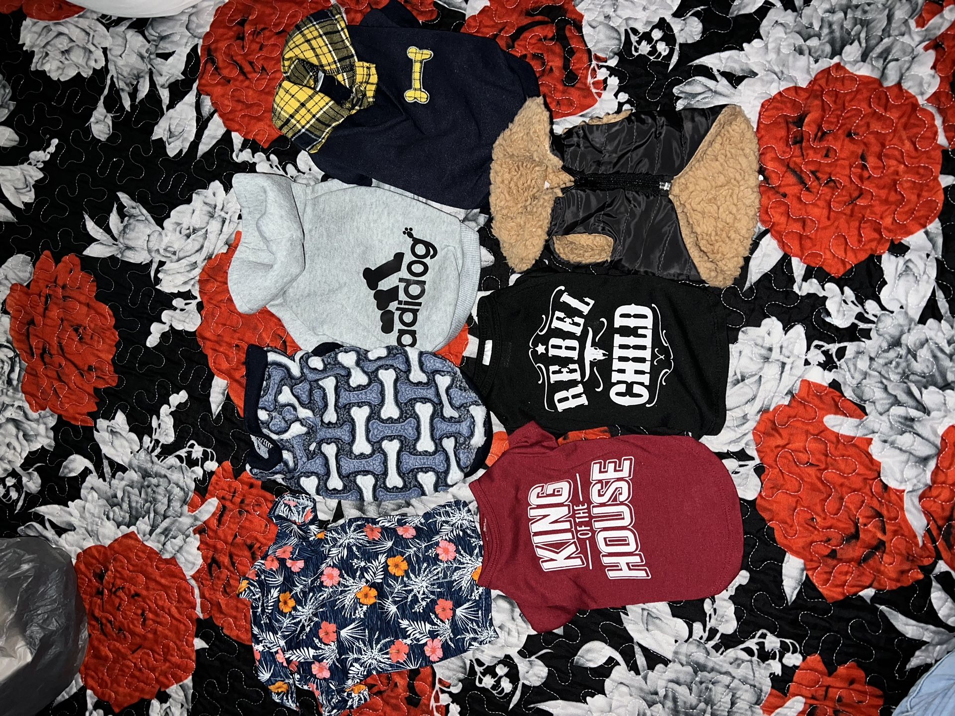 Dog Clothes