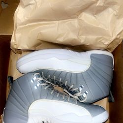 Jordan 12 Stealth 