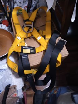 Safety harness