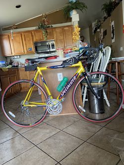 Specialized Bike Size54