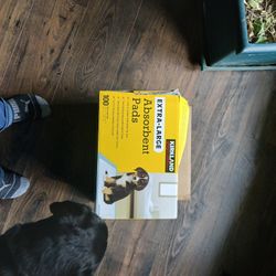 Xlarge Kirkland Puppy Pads