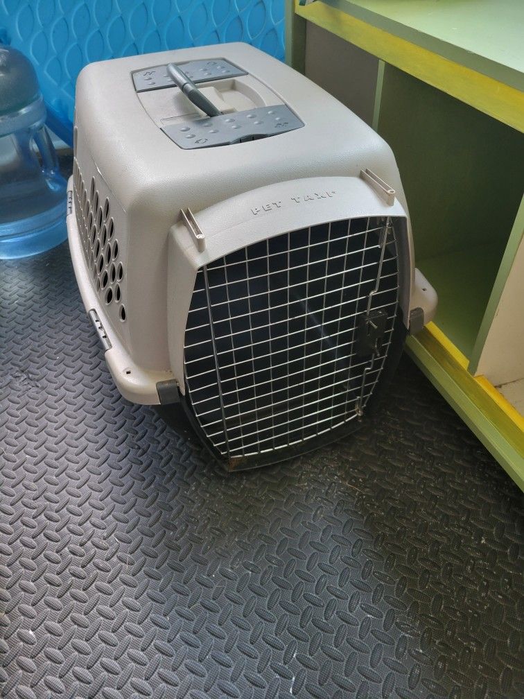 Travel Pet