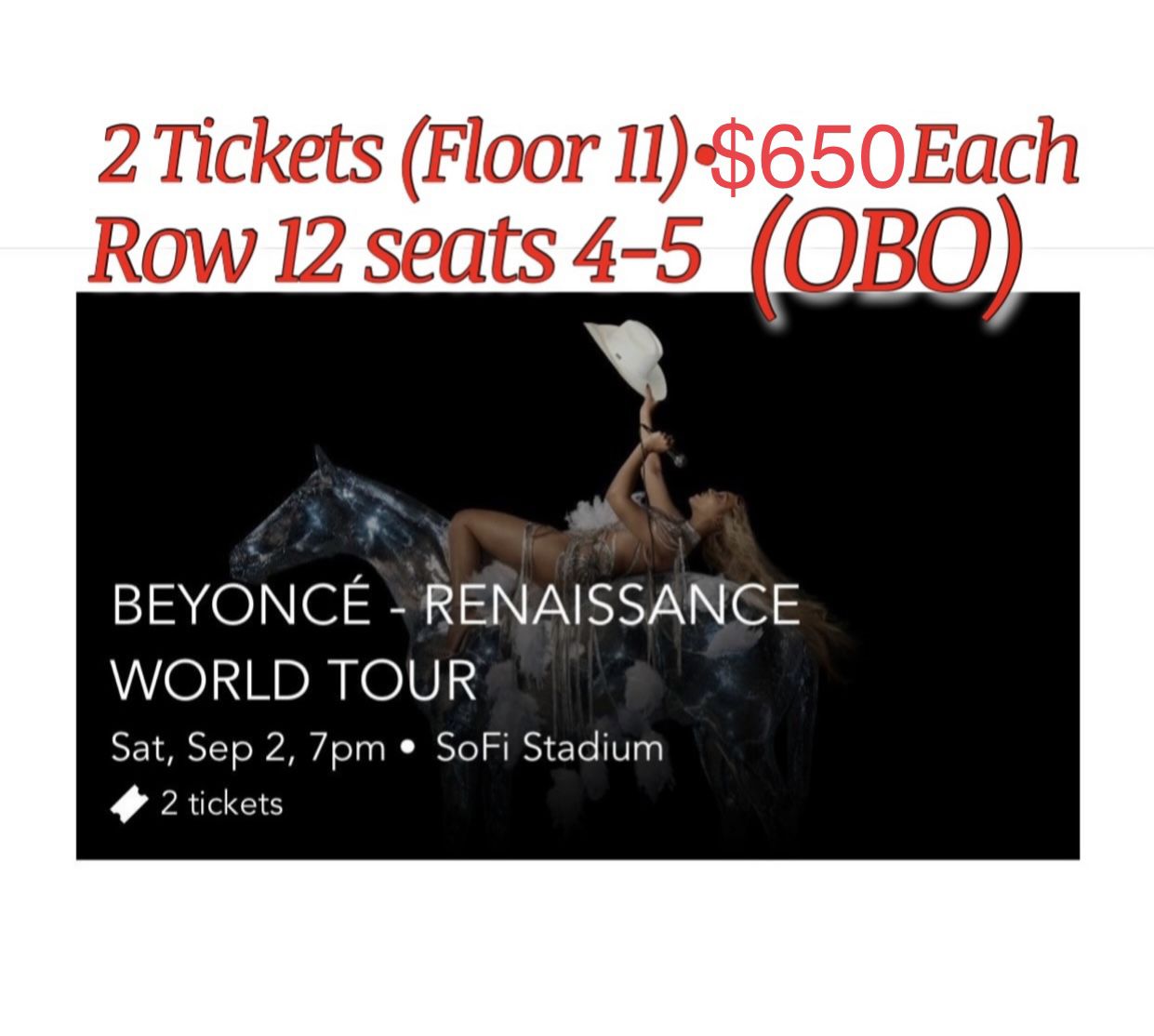 Beyoncé Renaissance Tour (obo)