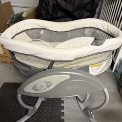 Graco DuoGlider Gliding Swing