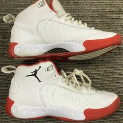 Air Jordan's Men's Size 12