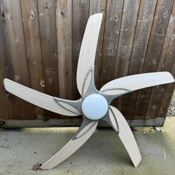 Light With Fan