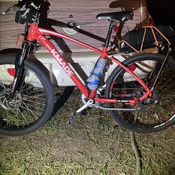 Electric bike