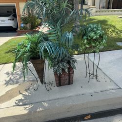 Faux plants and Tree