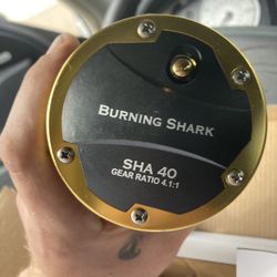 Burning Shark