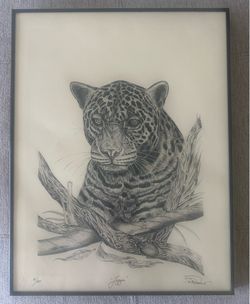 Rare 1993 Limited Edition Jaguar Wildlife Print "Jaggie" by Reithauer – Framed 8/20