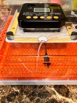 Incubator