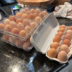 Fresh eggs organic