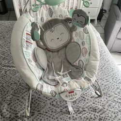 Fisher Price Baby Rocker 