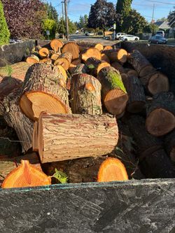 Trailer load Cedar Firewood