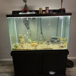 150gal Fish Tank 