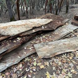 Stack Of Redwood And Fir Live Edge Slabs 