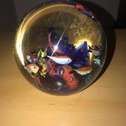 Aquarium Fish Glass