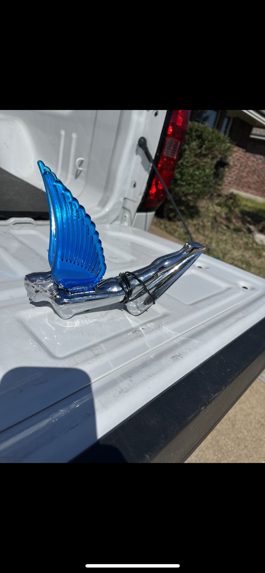 2 Hood Ornament Blue And Green