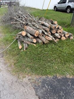 Free wood can be used as Firewood