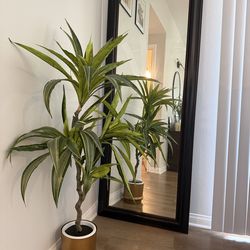 Large mirror & artificial plant for sale.