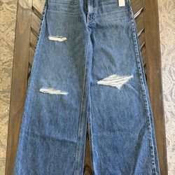 New w/tag Hudson Size 8 Waist 29 James High Rise Wide Leg Jean Inseam 31 Womens