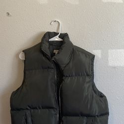 Green Puffer