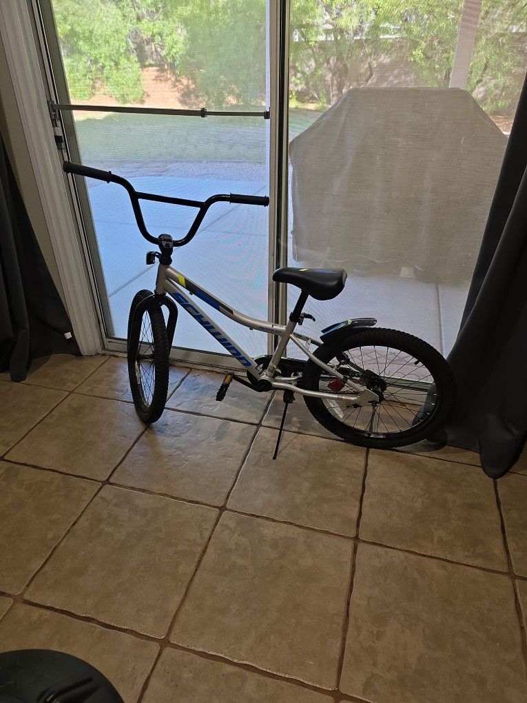 Schwinn 20-in Youth Bike