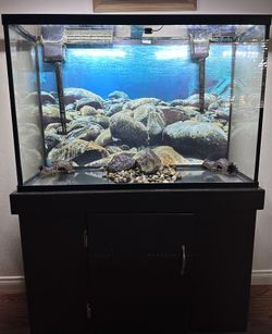 Aquarium + Equipment