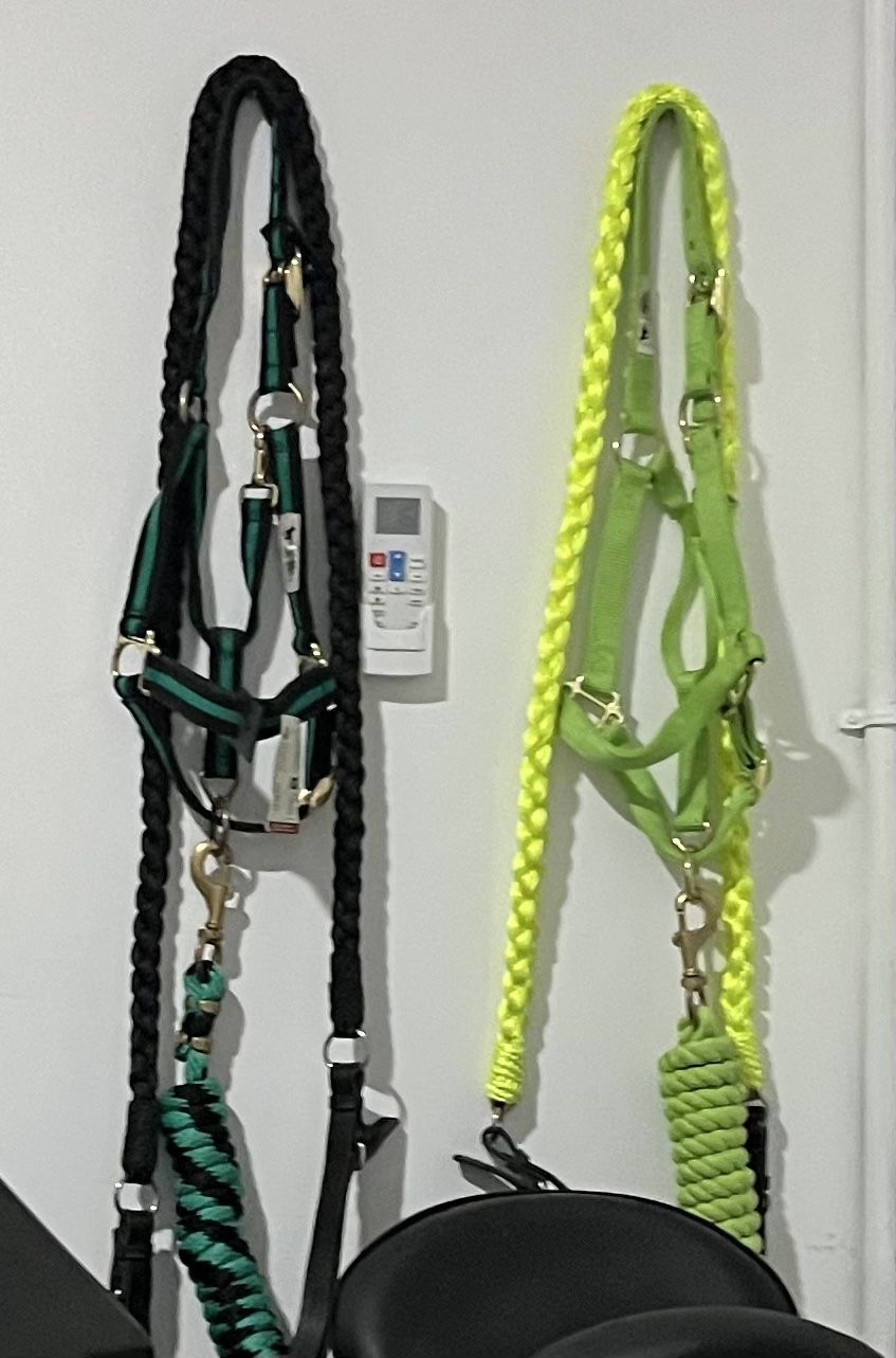 Halter, Lead Rope And Matching Reins $75 Each