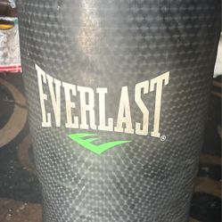 Everlast 70lb Punching Bag