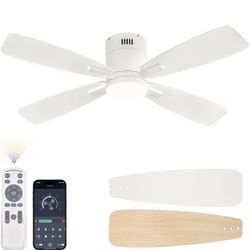 Ceiling Lamp Fan New $$40