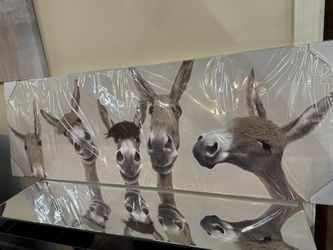 Fuzzy Donkeys Canvas