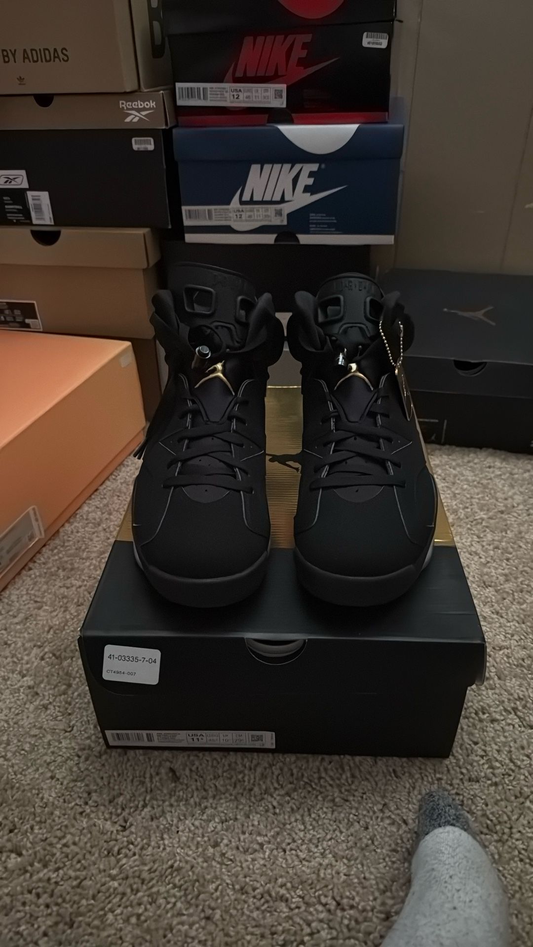 Jordan 6 Defining Moments Sz 11.5