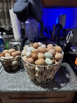 Huevos Frescos/ Fresh eggs